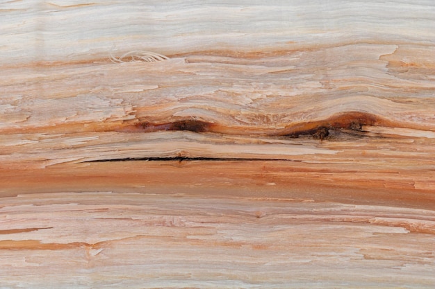 Photo gros plan de la texture du bois fendu parfaite pour le fond