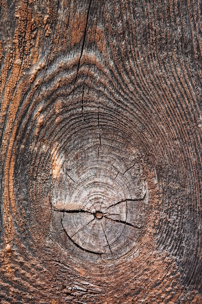 Gros plan de la texture du bois avec un matériau de panneau de fibres naturelles pour la construction