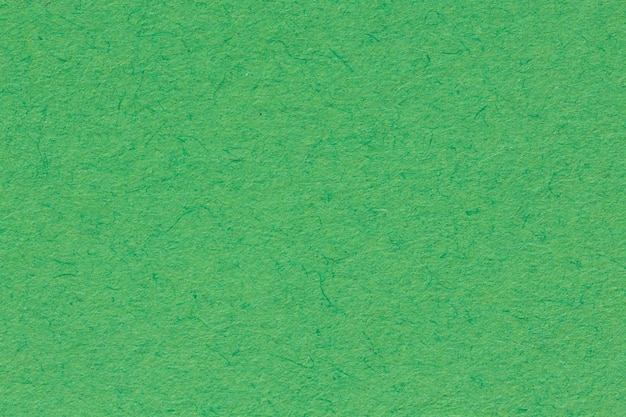 Gros plan de la texture du papier vert photo haute résolution