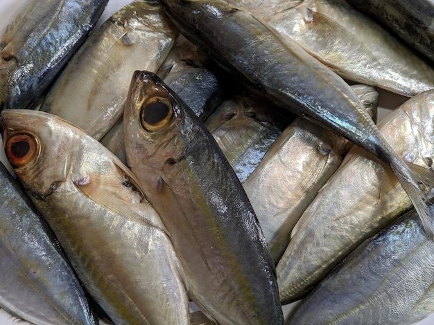 Gros plan de la texture du poisson frais