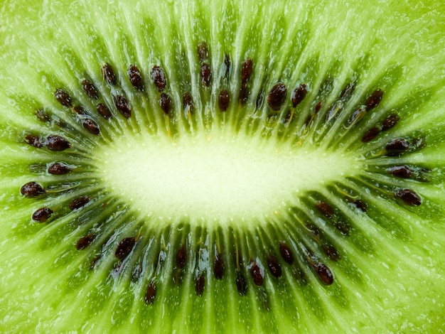 Gros plan texture fond kiwi