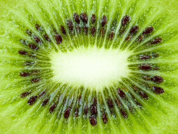 Gros plan texture fond kiwi