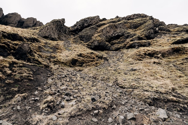 Un gros plan de la texture des montagnes en Islande roches volcaniques de basalte puff pierres couvertes de