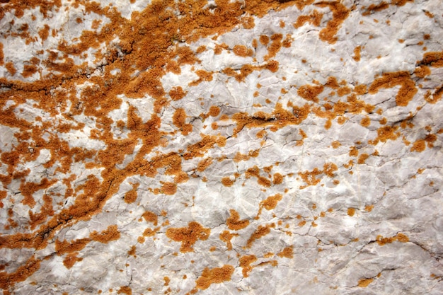 Gros plan de la texture de la pierre de marbre non traité