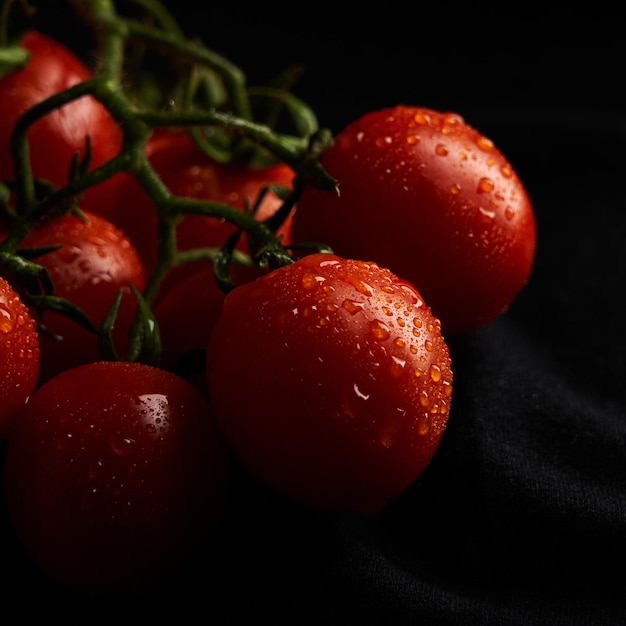 Gros plan de tomate sur fond noir