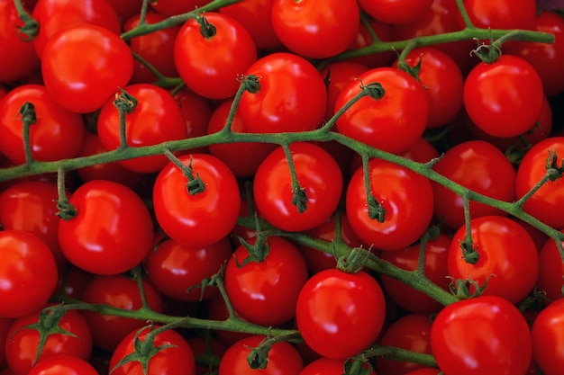 Gros plan de tomates cerises rouges fraîches sur une branche verte à l'étalage du marché des fermiers, vue en grand angle