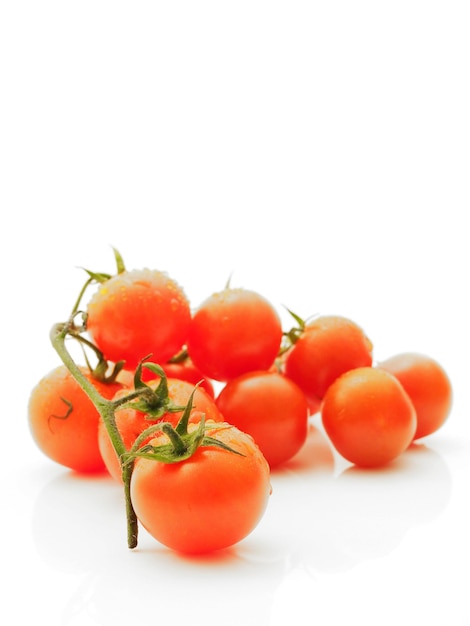 Gros plan de tomates sur fond blanc