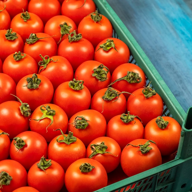 Gros plan de tomates rouges fraîches