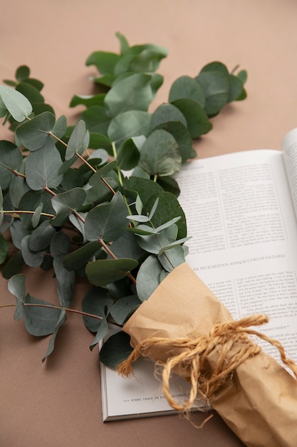 Photo gros plan sur l'usine d'eucalyptus