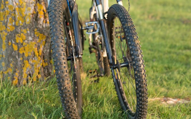 Gros plan sur un vélo à l'arrière Mountain Bike Protector