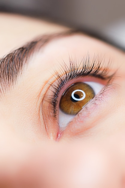 Gros plan sur les yeux d'une belle fille après la procédure de stratification des cils une fille avec une belle boucle de cils