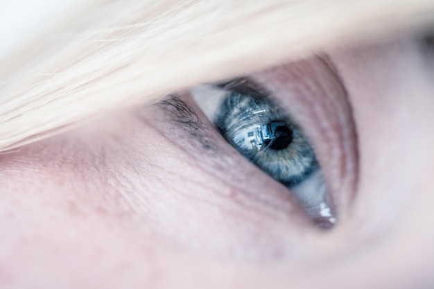 Gros plan des yeux bleus naturels féminins coupés du visage
