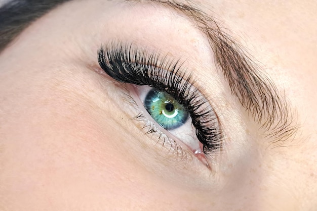 Gros plan des yeux avec des extensions de cils traitement de salon de beauté