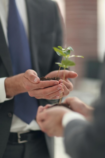 Gros planhomme d'affaires montrant à son partenaire commercial la première photo de germination avec espace de copie