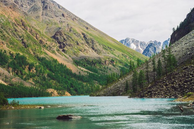 Gros rochers dans l'eau du lac de montagne sur scène de montagnes géantes avec forêt de conifères