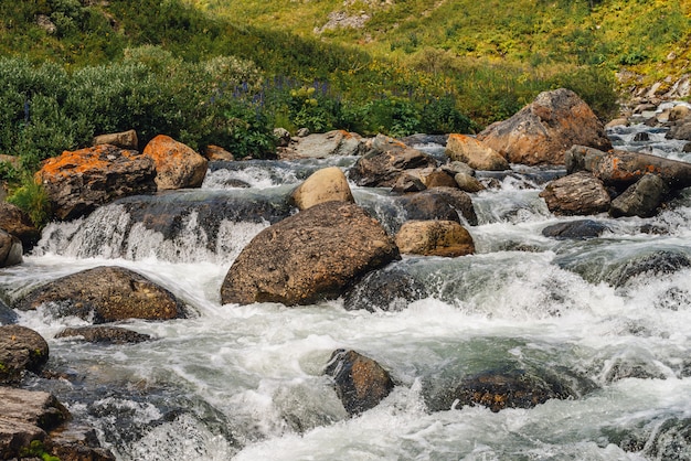 Gros rochers en montagne creek close-up. Rapides de rivière avec espace de copie. Jet d'eau rapide le long de la belle végétation. Débit rapide près des pierres mouillées. Fond de vagues propres. Richesse de la flore des hautes terres.