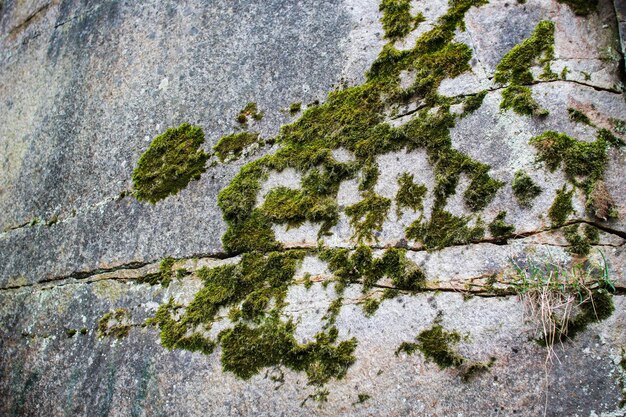 De gros rochers solides sont situés au-dessus de l'eau