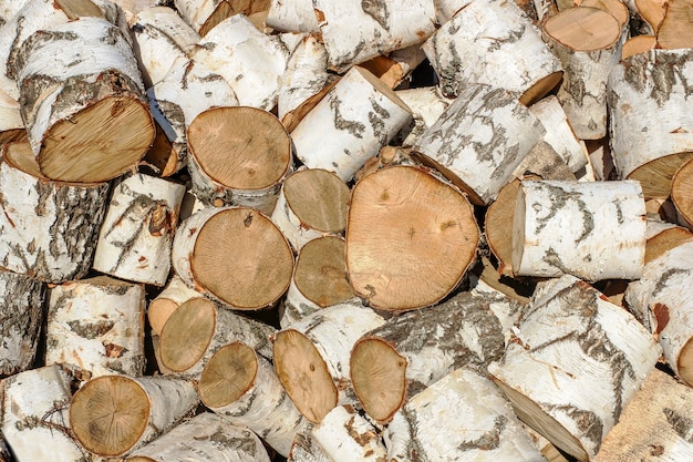 Gros tas de billes de bouleau sciées