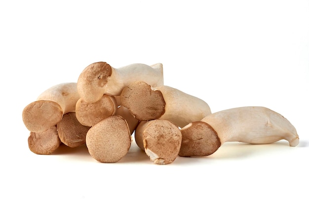 Gros tas de champignons eringi Pleurotus eryngii empilés isolés sur fond blanc