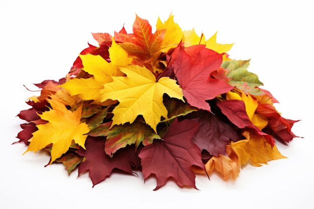 Gros tas de feuilles d'automne colorées isolé sur fond blanc