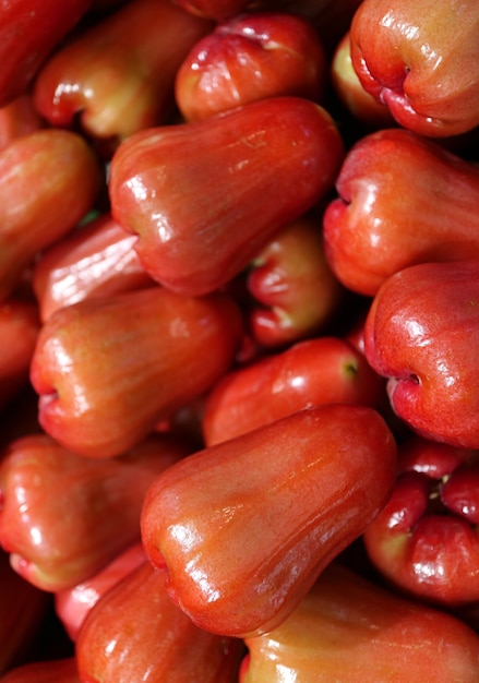 Photo gros tas de peau cireuse rouge vif watery rose apple fruits à vendre sur le marché