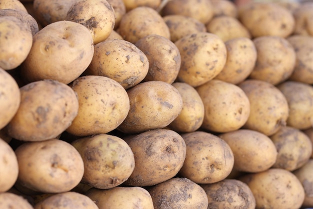 Gros tas de pommes de terre fraîches jaunes sur le marché des avantages et des inconvénients du concept de pommes de terre