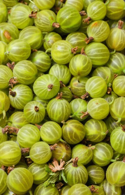 Groseille fraîche et sucrée, gros plan.