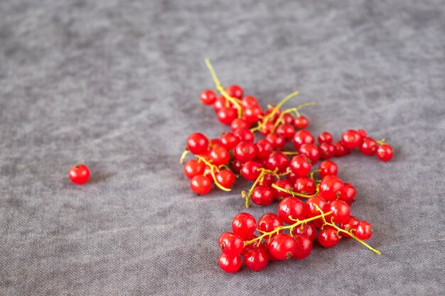 Groseille rouge sur le fond de tissu gris. Grand groupe de baies colorées.