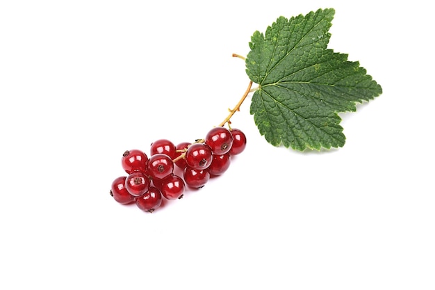 Groseille Rouge Mûre Avec Des Feuilles Isolées Sur Fond Blanc