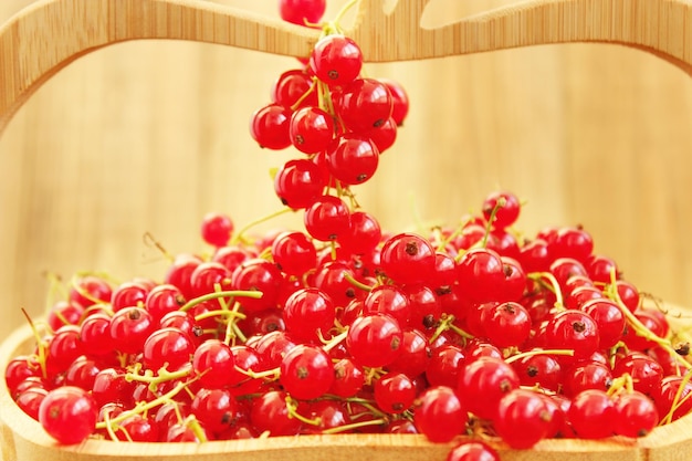 Groseille rouge sur le vase en bois