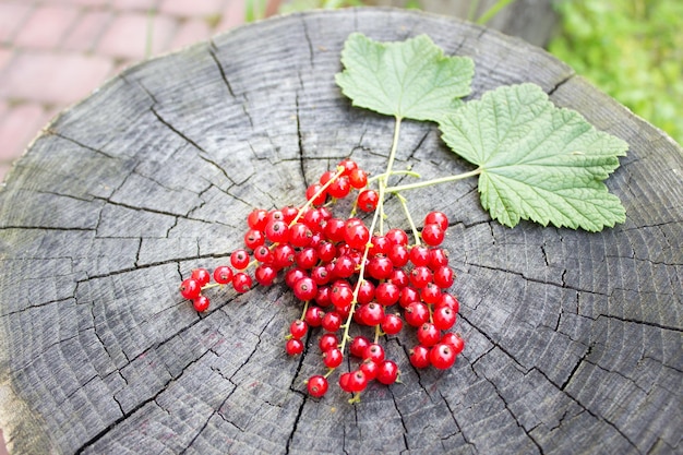 Groseille saine sur un fond en bois dans le concept d'été de jardin