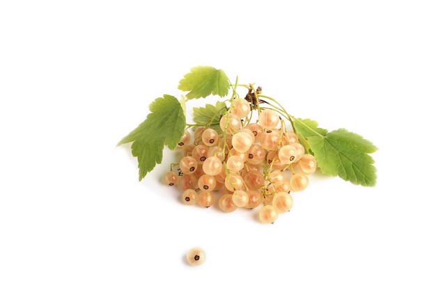 Groseilles blanches isolées sur fond blanc