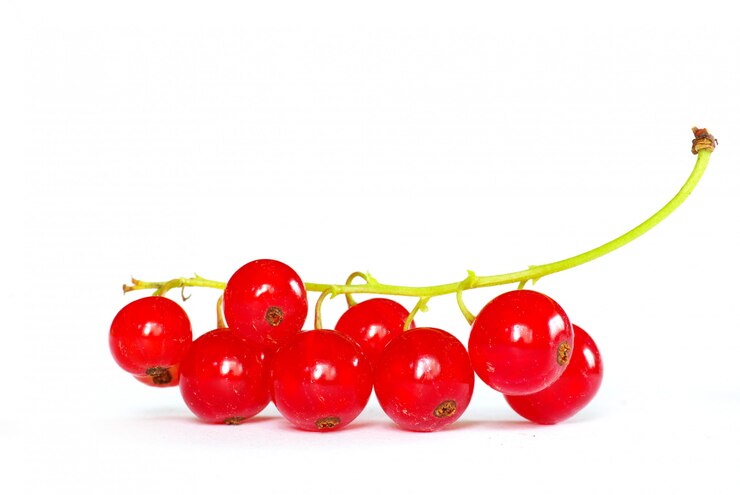 Photo groseilles rouges sur blanc