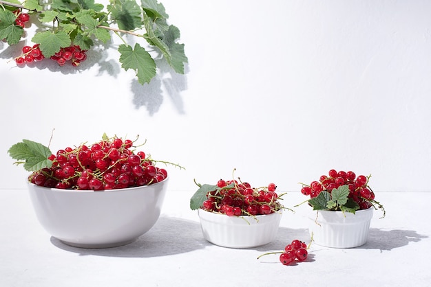 Groseilles rouges mûres dans des bols et une branche sur fond blanc au soleil, gros plan.