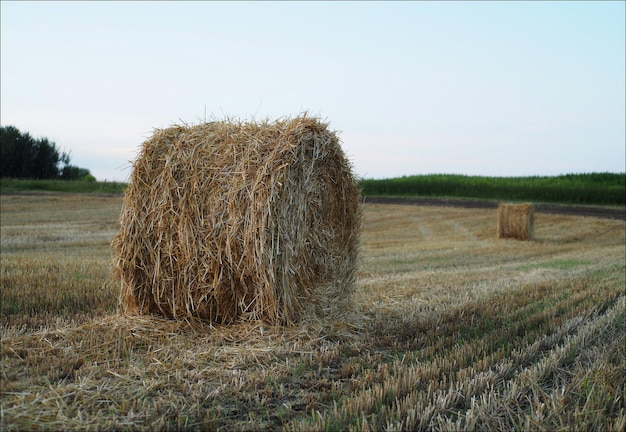 Photo une grosse balle de foin avec un panneau disant foin