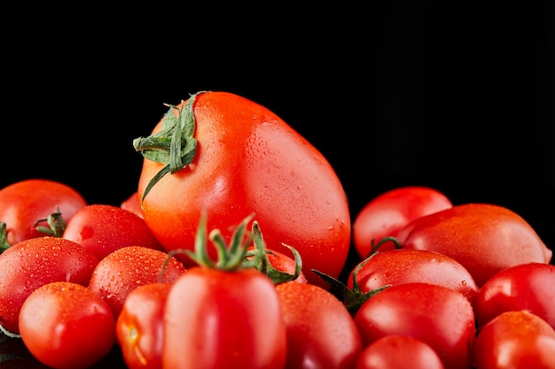 Grosse tomate et petite tomate cerise