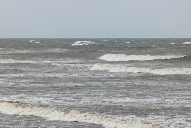 Une grosse vague s'écrase sur la côte.