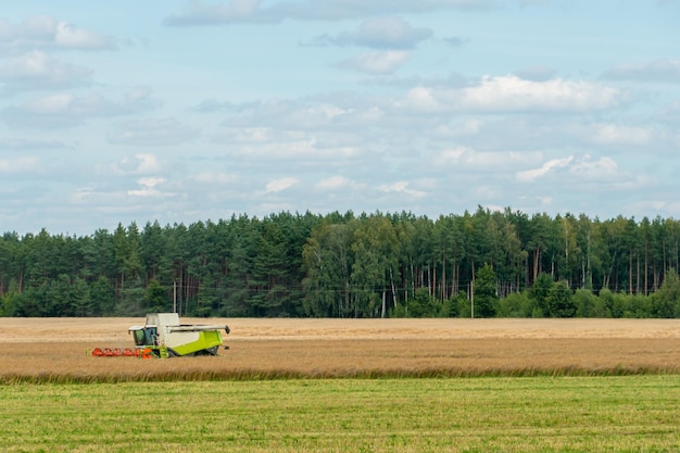 De grosses machines agricoles travaillent dans le champ Saison des récoltes Une moissonneuse-batteuse moderne dans un champ sur fond de forêt et de nuages Travail agricole dur Vente de blé pour l'exportation