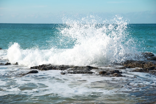 De grosses vagues se brisant sur le rivage avec de l'écume de mer