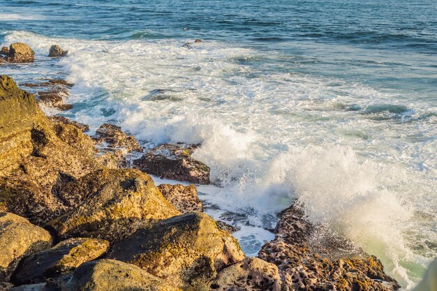 De grosses vagues se brisant sur le rivage avec de l'écume de mer.