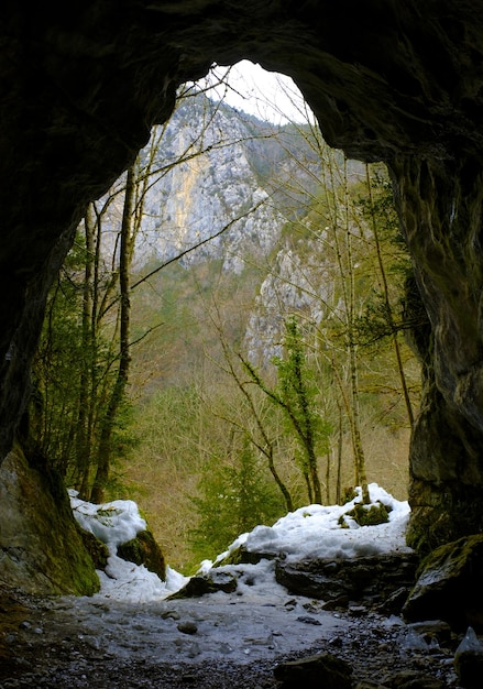 Photo la grotte d'ibon cette grotte est située près d'isaba dans la vallée de roncal navarra