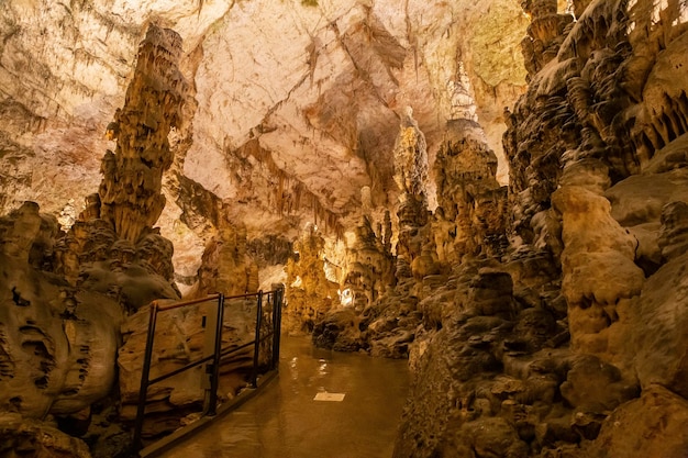 Grotte karstique Postojnska-Jama formée par la rivière Pivka en Slovénie