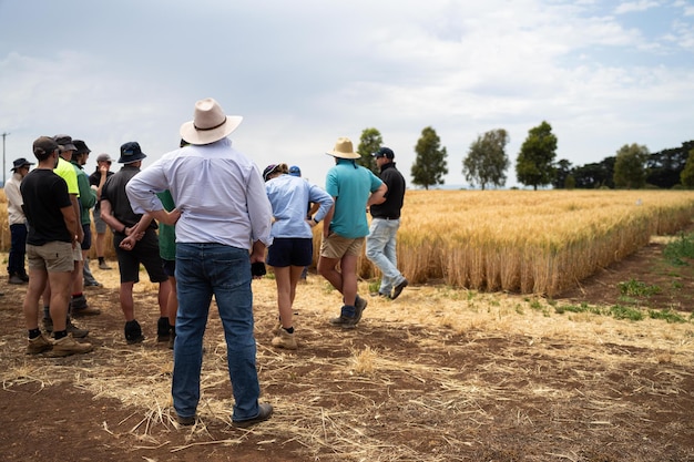 Un groupe d'agriculteurs apprenant sur la santé des cultures et la santé mentale des agriculteurs Un agriculteur écoutant un scientifique agronomiste lors d'une journée de terrain Des jeunes travaillant dans l'agriculture lors d'un jour d'information