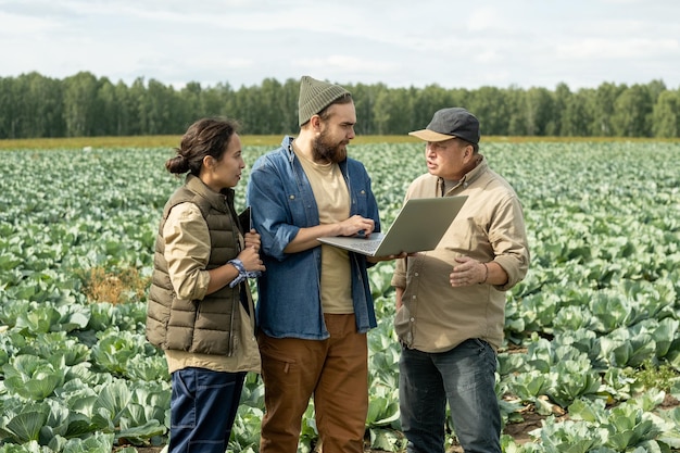 Groupe d'agro-ingénieurs multiethniques debout sur une plantation et utilisant un ordinateur portable tout en discutant du chou ...