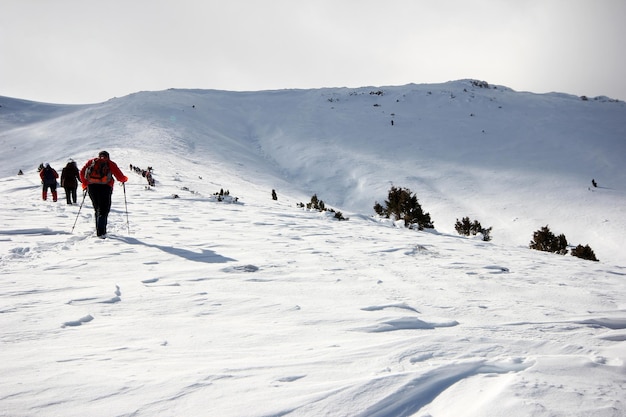 Groupe d'alpinistes marchant dans les montagnes couvertes de neigexAxA