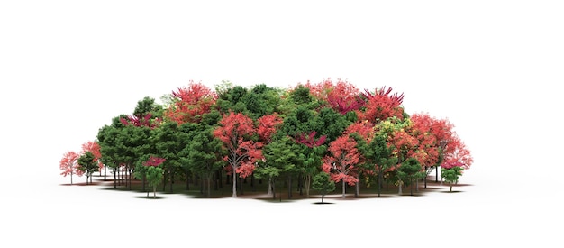 groupe d'arbres avec une ombre au sol isolé sur fond blanc arbres dans la forêt 3D