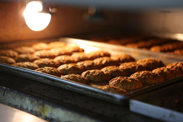 Groupe de biscuits assortis. Pépites de chocolat, raisins secs à l'avoine, chocolat blanc