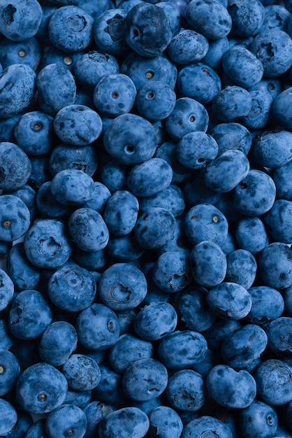 Groupe de bleuets frais savoureux isolé sur fond blanc.