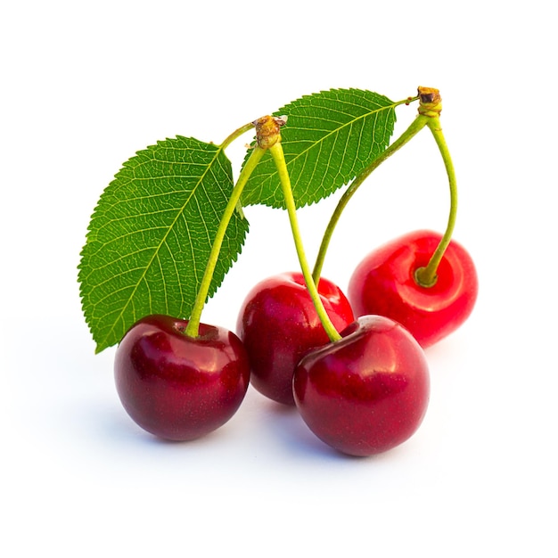 Groupe de cerises rouges isolé sur fond blanc. Pris en studio avec une marque 5D III.