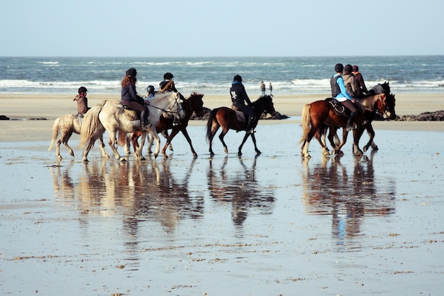 Photo un groupe de chevaux sur la plage